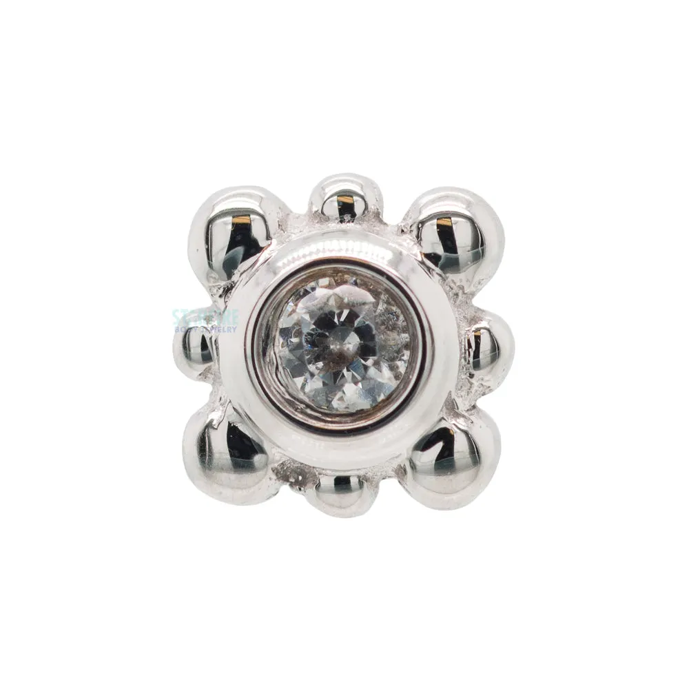 Bezel with 8 Beads Nostril Screw in Gold with White CZ