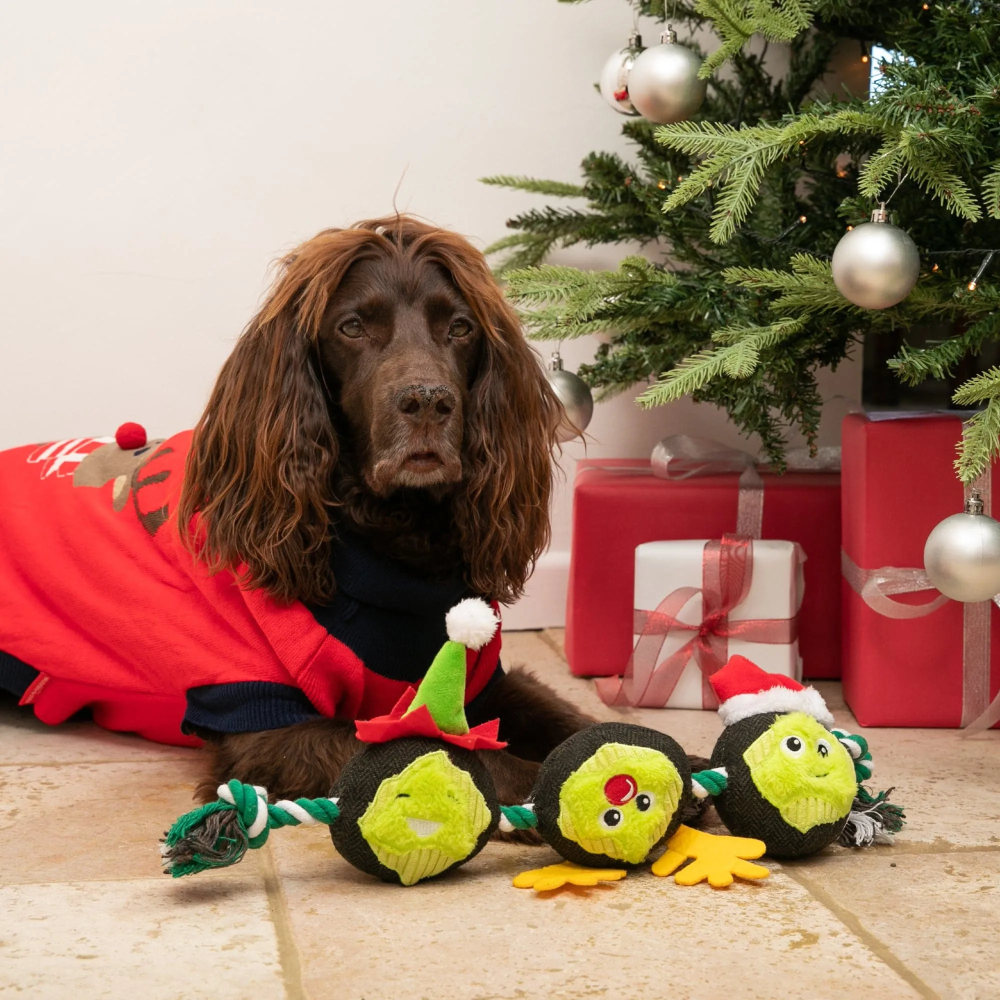 Brussels Sprout Rope Dog Toy