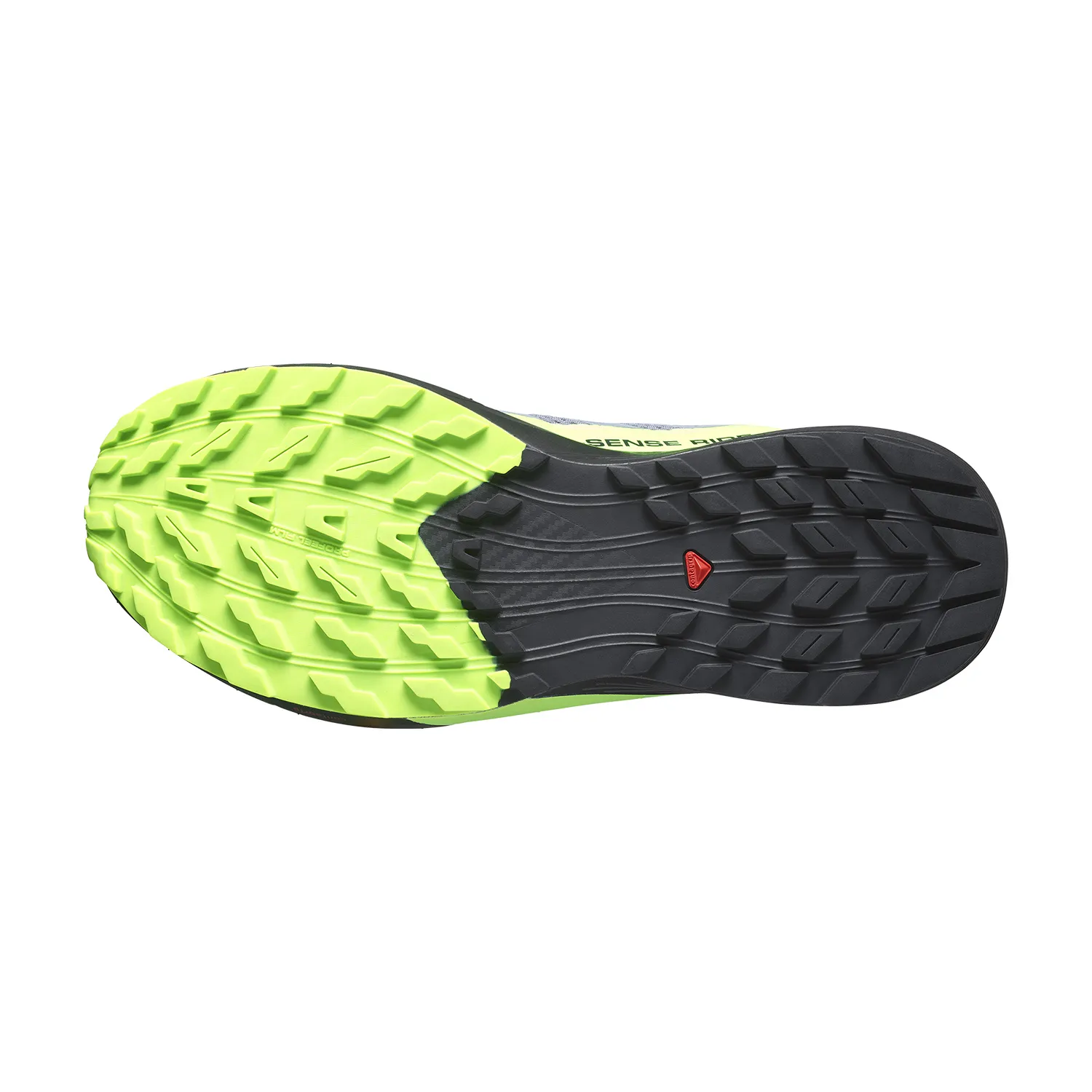 Salomon Sense Ride 5 GTX  Flint Stone/Black/Green Gecko