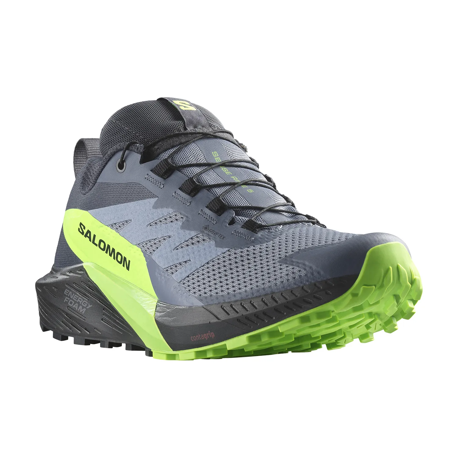 Salomon Sense Ride 5 GTX  Flint Stone/Black/Green Gecko